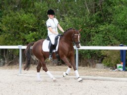 IMG_8173_web